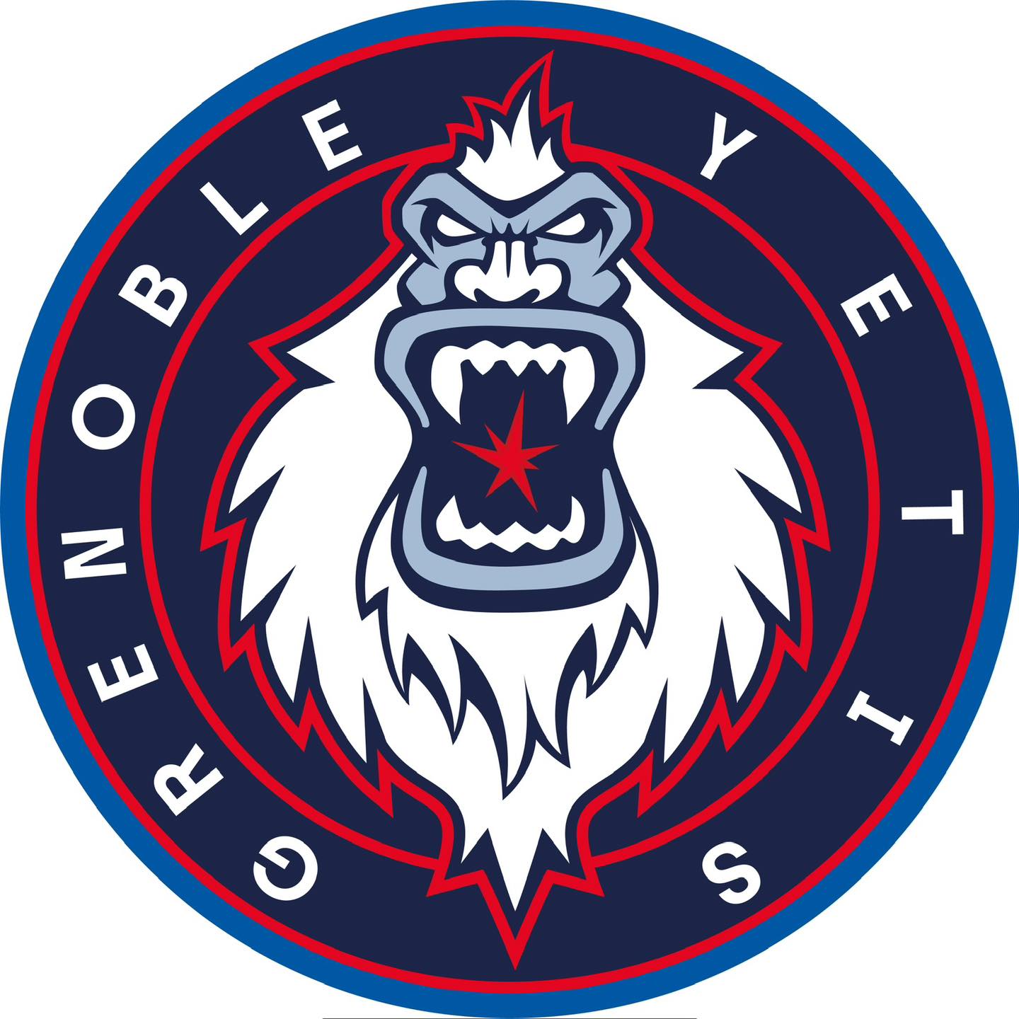 GAGNEZ VOS PLACES POUR LES MATCHS DES YETIS DE GRENOBLE !